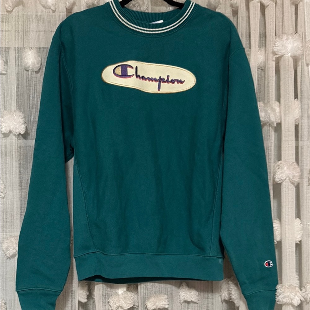 Champion Men's Teal Sweater